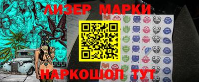 крисы Шебекино