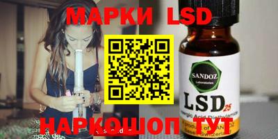 крисы Шебекино