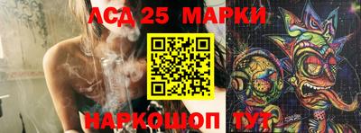 крисы Шебекино