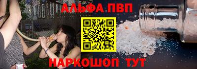 крисы Шебекино