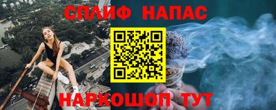 крисы Шебекино