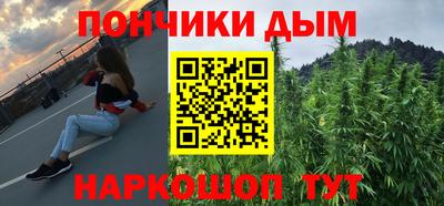 крисы Шебекино