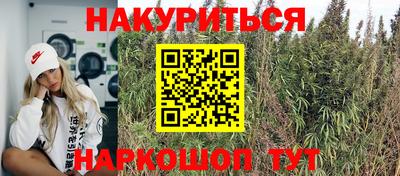 бошки Шелехов