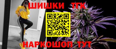 крисы Шебекино