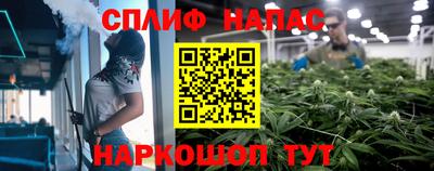бошки Шелехов