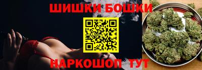 крисы Шебекино