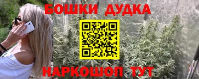 СК Шахты