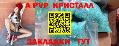 крисы Шебекино