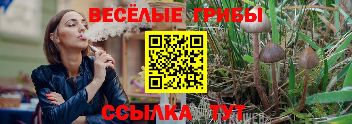 Галлюциногенные грибы Psilocybe Богданович